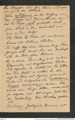 Nachlass Franz Steindachner, Brief von Decio Vinciguerra an Franz Steindachner (26.09.1887), Inv.Nr. 562.05, Seite 3